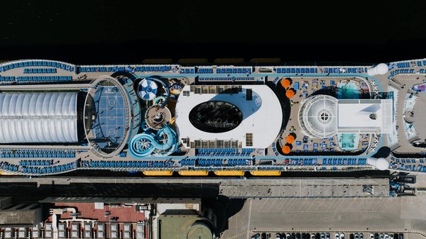 Discover Premier UK Campsites for Exciting Marine Life Encounters