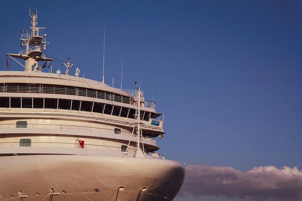 Discover Affordable Wildlife Adventures in the Scottish Highlands: Unforgettable Nature Encounters Await!